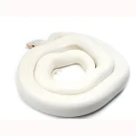 2020 Female Leucistic Colombian Rainbow Boa - Sub Adult - Image 5