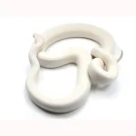 2020 Female Leucistic Colombian Rainbow Boa - Sub Adult - Image 3