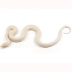2023 Leucistic Columbian Rainbow Boa - Image 2