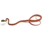 2025 Unsexed CBB Boiga cyanea (Green-Eyed Cat Snake) - Image 2