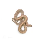 2025 Female Hypo Granite het. Albino Burmese Python - Image 3