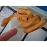 Captive Dropped Male Yellow Patternless Amazon Tree Boa - Image 3