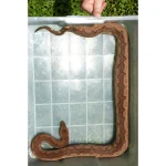 Female Solomon Island Ground Boa - Red - Image 3