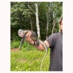 Adult Female Pastel Blue Tail Monitor - Image 2