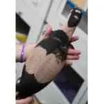 SALE! Male Bells Phase Lace Monitor Lizard - Glorious! - Image 4