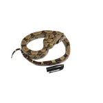 2022 Male CBB Iquitos Peruvian Redtail Boa Constrictor. - Image 2